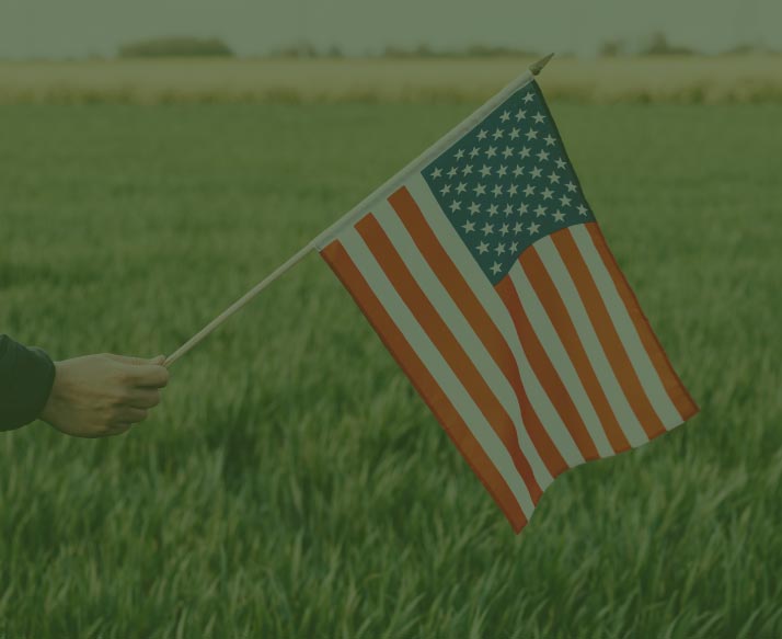 Person holding American flag with green field in the background